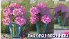 009 How To Paint A Pink Hydrangea Vase Acrylic On Canvas Hydrangea Series Ep 3