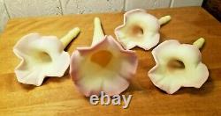 5pc Fenton Burmese Epergne Connoisseur Collection #1-1983 Limited Edition