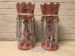Ant Pink Bohemian Glass Pair of Lustres with Hanging Prisms & Floral & Insect Dec