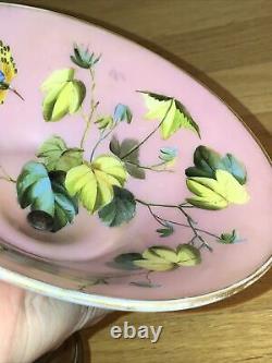 Antique French Compote Pink Hand painted Bird Baccarat Opaline Glass Footed Dish