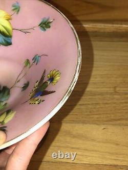 Antique French Compote Pink Hand painted Bird Baccarat Opaline Glass Footed Dish