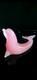 Archimede Seguso Murano Glass Pink Alabastro Sea lion
