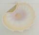 Art Glass Bowl Sea Shell Pink & Gold Conch Spiked Dish Hand Made in Poland