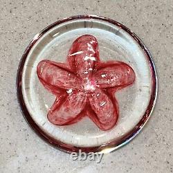 Art Glass Paperweight Signed Sea Biscuit Pink Clear Eben Horton 2005 RARE