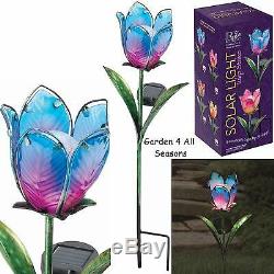 BLUE & PINK TULIP Flower Solar Light Garden Stake Creekwood Regal Art & Gift Box