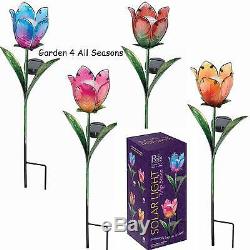 BLUE & PINK TULIP Flower Solar Light Garden Stake Creekwood Regal Art & Gift Box