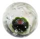Caithness Glass Paperweight Seabase 1976 + Box Made in Scotland