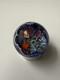David Salazar Signed Art Glass Paperweight Ocean Coral Reef Starfish Millefiori