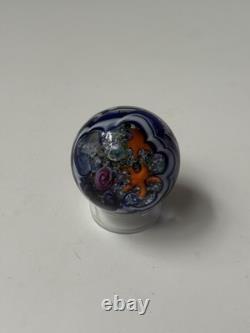 David Salazar Signed Art Glass Paperweight Ocean Coral Reef Starfish Millefiori