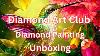 Diamond Art Club Unboxing Stained Glass Hummingbird And Hibiscus Diamond Art