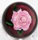 ELEGANT Rick AYOTTE Mini Pink ROSE over Cranberry Ground Art Glass PAPERWEIGHT