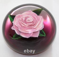 ELEGANT Rick AYOTTE Mini Pink ROSE over Cranberry Ground Art Glass PAPERWEIGHT