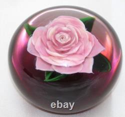 ELEGANT Rick AYOTTE Mini Pink ROSE over Cranberry Ground Art Glass PAPERWEIGHT