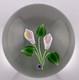 FRANCIS WHITTEMORE Pink Calla Lily Miniature Glass Paperweight