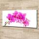 Glass Print Wall Art Image Picture 125x50cm Pink orchid