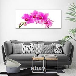 Glass Print Wall Art Image Picture 125x50cm Pink orchid