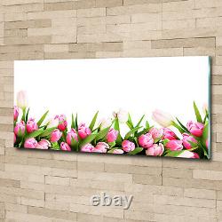 Glass Print Wall Art Image Picture 125x50cm Pink tulips