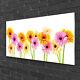 Glass print Wall art 100x50 Image Picture Flowers Floral