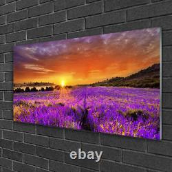 Glass print Wall art 100x50 Image Picture Sun Meadow Flowers Nature