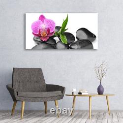 Glass print Wall art 120x60 Image Picture Flower Stones Art