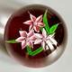 John Deacons Paperweight 3 Posy Bouquet On A Transparent Pink Ground