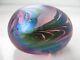 John Ditchfield Iridescent Art Glass Pink Dino Dinosaur Egg Signed label on