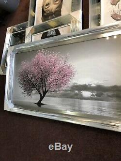 Liquid Glass Art, Crystals, Silver Chrome Framed p, The Loan Tree Blush Pink