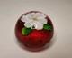 Mayauel Ward White Flower Art Glass Paperweight Clear & Pink Signed & Dated 2005