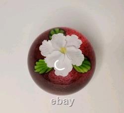 Mayauel Ward White Flower Art Glass Paperweight Clear & Pink Signed & Dated 2005