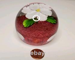 Mayauel Ward White Flower Art Glass Paperweight Clear & Pink Signed & Dated 2005