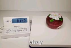 Mayauel Ward White Flower Art Glass Paperweight Clear & Pink Signed & Dated 2005