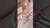 Merlin Nails Best Long Nude Pink Glass Glitter Nails Ballerina Shape Gel Nails By Merlin