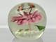 Murano Flying Bees Over Pink Flower Hand Blown Art Glass Paperweight