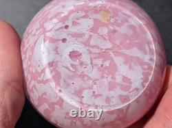 Pair Antique 19thC Victorian Pink Cased Spatter Glass Vases Enameled Dragonfly