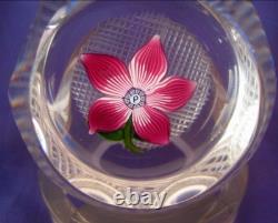 Perthshire 1974 Miniature Pink Flower Faceted Paperweight Art Glass Ltd Ed Box