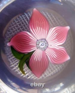 Perthshire 1974 Miniature Pink Flower Faceted Paperweight Art Glass Ltd Ed Box
