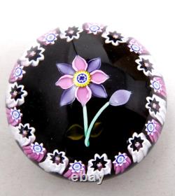 Peter McDougall Glass Paperweight Pink Mauve Millefiori Flower Black Ground 2004