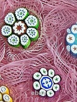 Peter McDougall LE Spaced Millefiori On Pink Muslin Art Glass Paperweight. Ltd