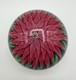 Rare Vintage Baccarat 1971 Art Glass Paperweight Pink Dahlia on Blue Ground