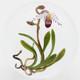 STUNNING Large CHRIS BUZZINI Pink ORCHID Art Glass Paperweight ONE of ONE