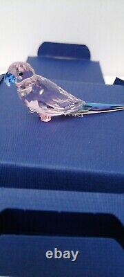 SWAROVSKI JUNGLE BEATS PINK PARAKEET CHA CHA 5557848 retired boxed perfect rare