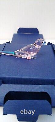 SWAROVSKI JUNGLE BEATS PINK PARAKEET CHA CHA 5557848 retired boxed perfect rare
