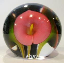 Scott Bayless Paperweight Clear with Pink Cali Lily Nu 52