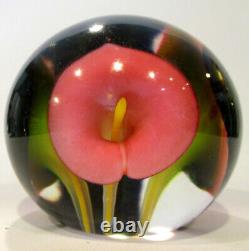 Scott Bayless Paperweight Clear with Pink Cali Lily Nu 52