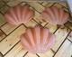 Set Of 3 Vintage Art Deco Pink Scalloped Clam Shell Glass Shades- 1930's Design