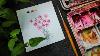 So Cute How To Paint Pink Flowers Bouquet Watercolor Easy Tutorial