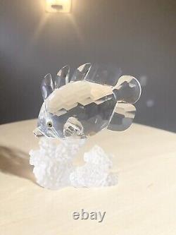 Swarovski Silver Crystal BUTTERFLY FISH #7644 Hand Blown 3 FIGURINE
