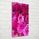 Tulup Acrylic Glass Print Wall Art Image 70x140cm Pink roses