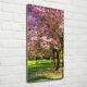 Tulup Glass Print Wall Art 70x140 Cherry trees