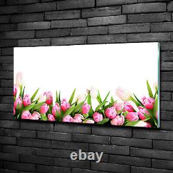 Tulup Glass Print Wall Art Image Picture 100x50cm Pink tulips